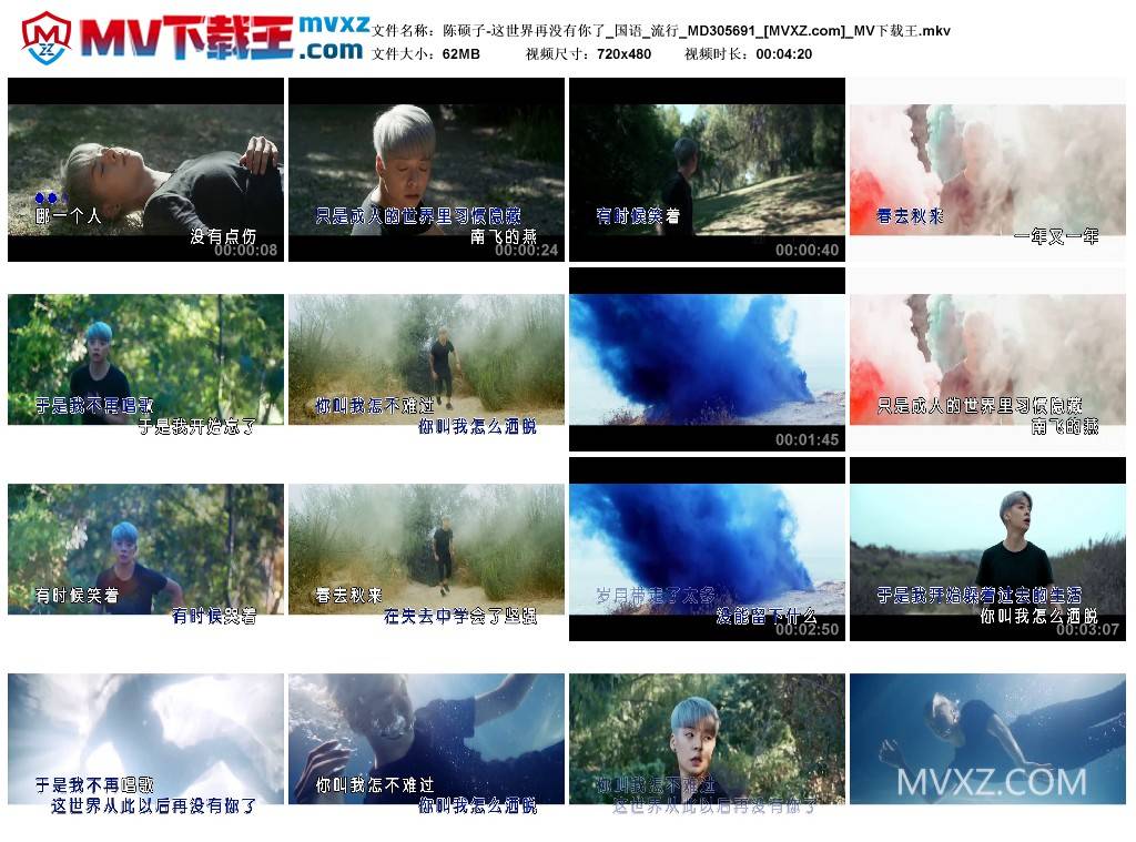陈硕子-这世界再没有你了_国语_流行_MD305691